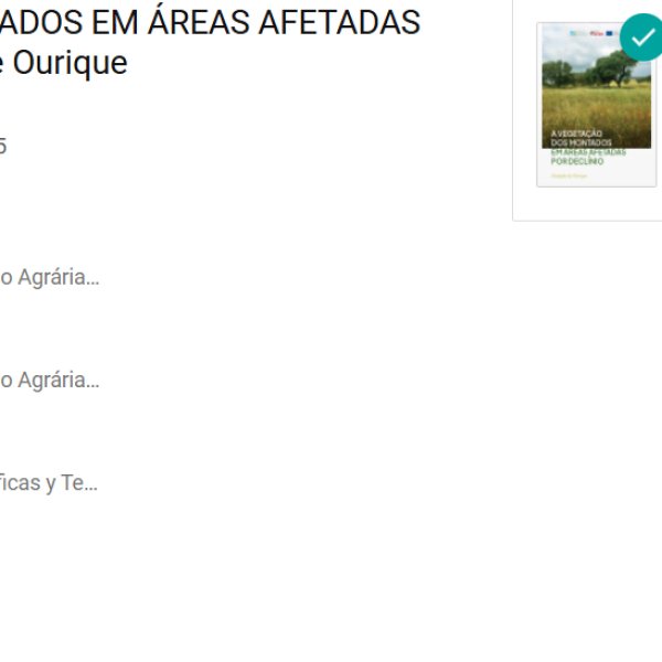 Captura de ecrã 2025-05-22 141037
