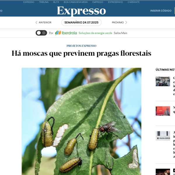 Screenshot 2025-07-25 at 14.50.05