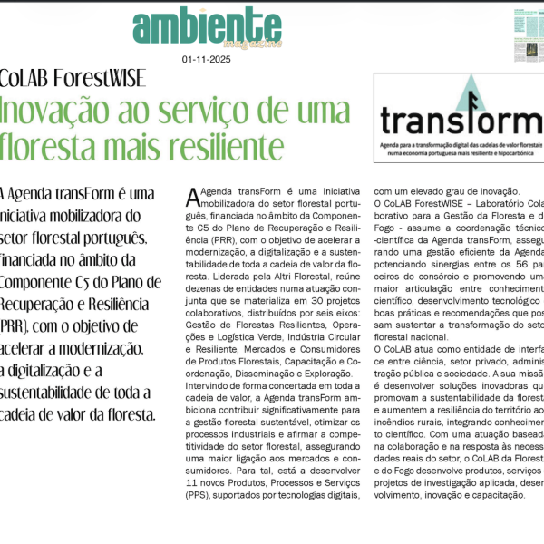 Screenshot 2026-01-08 at 20.39.31